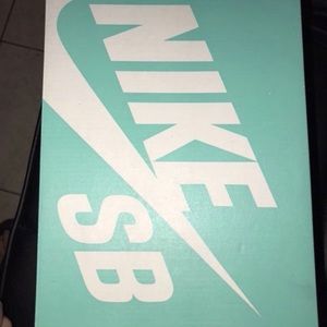 Nike Sb brand new